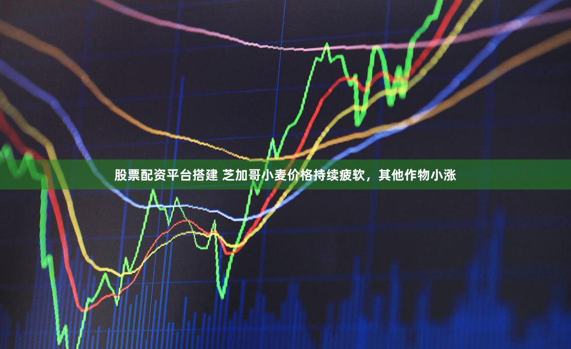 股票配资平台搭建 芝加哥小麦价格持续疲软，其他作物小涨