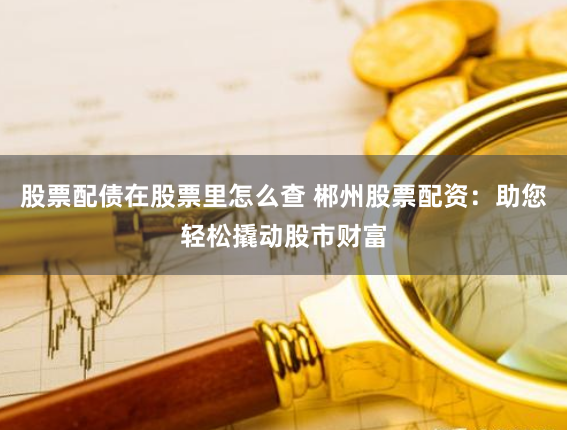 股票配债在股票里怎么查 郴州股票配资：助您轻松撬动股市财富